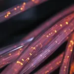 Net Neutrality Explained: What It Is, Why It Matters, And How It Affects Your Internet Access (2026)